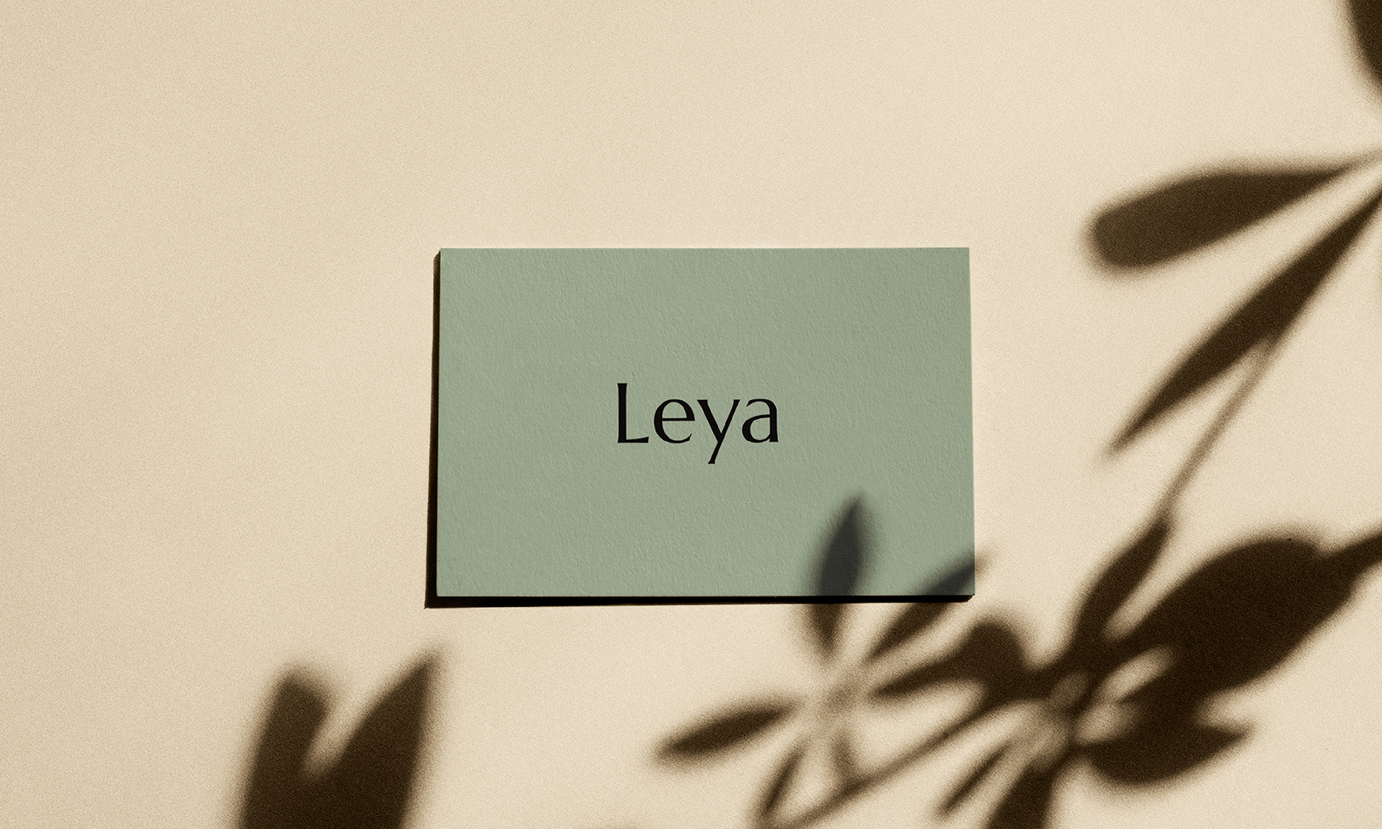 Leya_Card_Asset-14